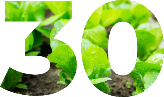 Agro_30