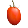 tomate